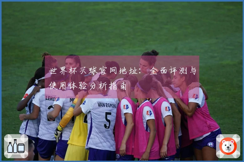世界杯买球官网地址：全面评测与使用体验分析指南