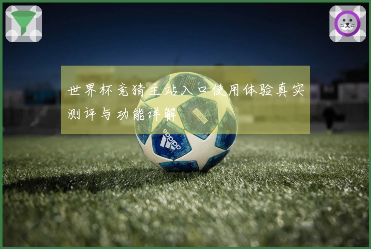 世界杯竞猜主站入口使用体验真实测评与功能详解