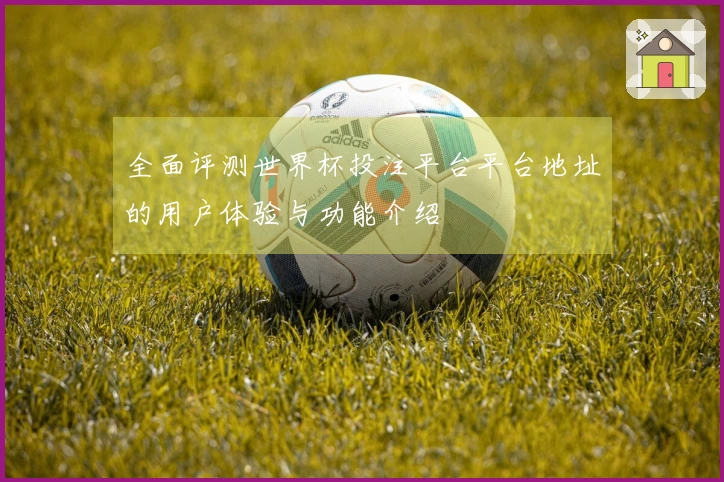 全面评测世界杯投注平台平台地址的用户体验与功能介绍