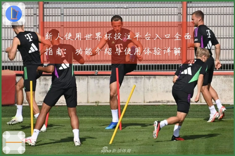 新人使用世界杯投注平台入口全面指南：功能介绍与使用体验详解