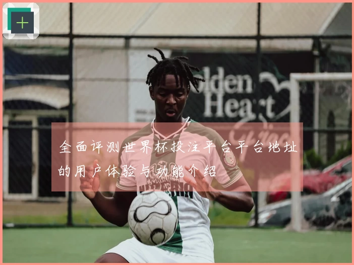 全面评测世界杯投注平台平台地址的用户体验与功能介绍