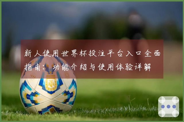 新人使用世界杯投注平台入口全面指南：功能介绍与使用体验详解