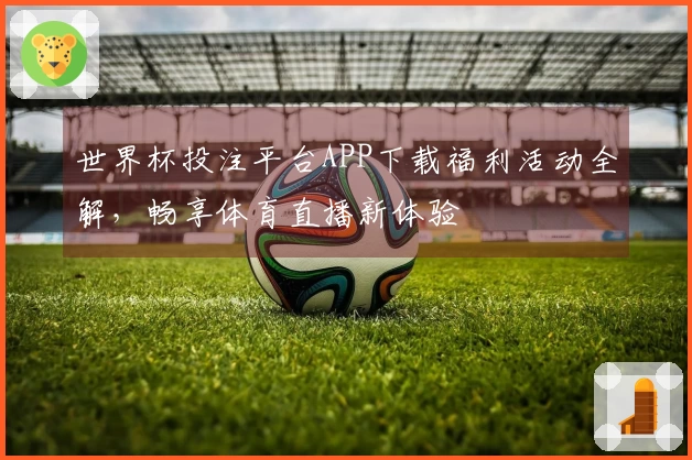 世界杯投注平台APP下载福利活动全解，畅享体育直播新体验