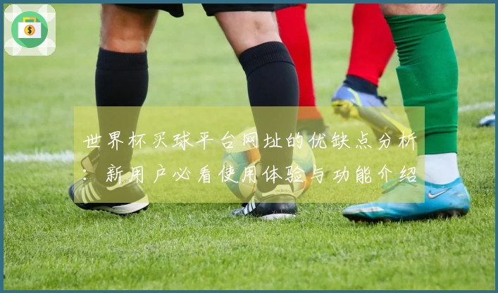 世界杯买球平台网址的优缺点分析：新用户必看使用体验与功能介绍