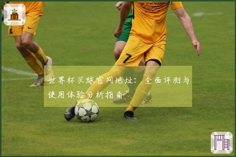 世界杯买球官网地址：全面评测与使用体验分析指南